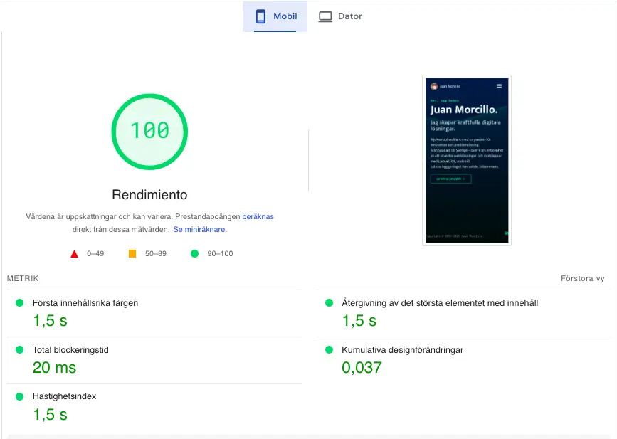 Google PageSpeed för mobilversion